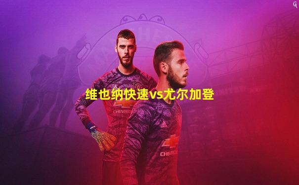 维也纳快速vs尤尔加登